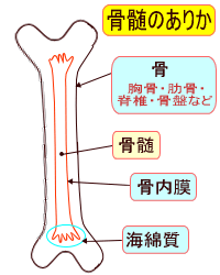 �����̂��肩