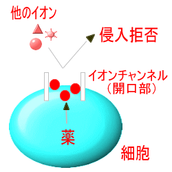 �C�I���`�����l���E���
