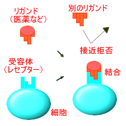 �h�R��E�Ւf��E���